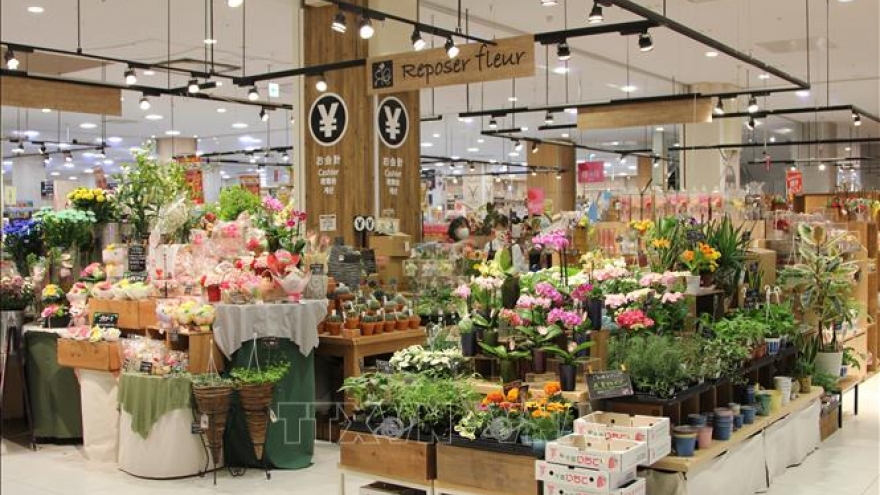 Vietnamese flowers secures foothold in Japanese market